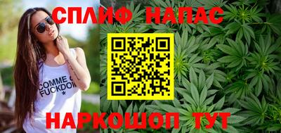 стаф Будённовск