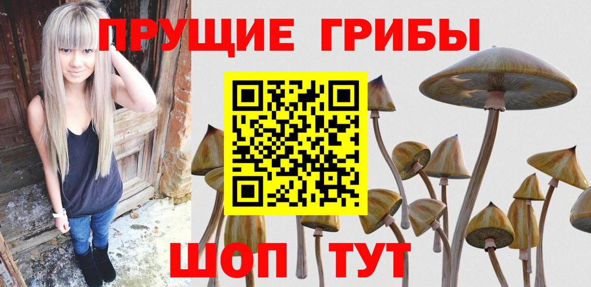 Шатура  Галлюциногенные грибы прущие грибы  Вход с VPN 